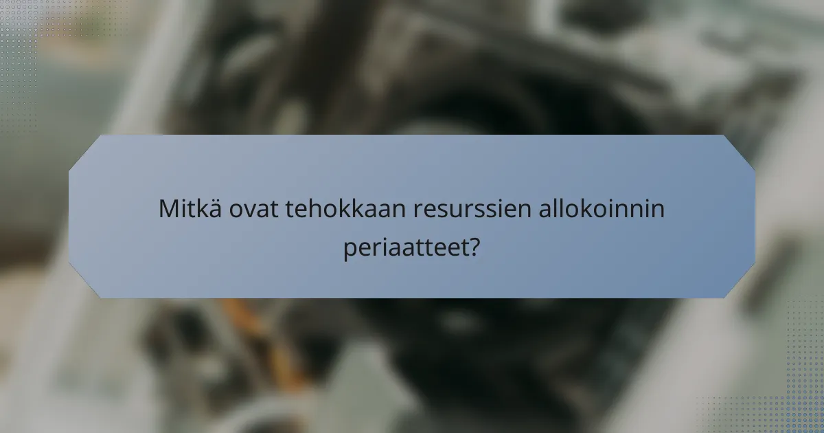 Mitkä ovat tehokkaan resurssien allokoinnin periaatteet?